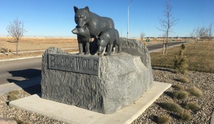 Greywolf