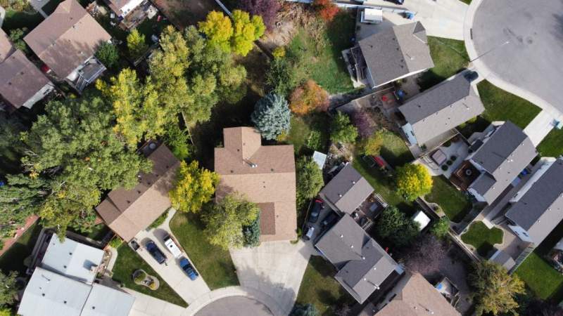 Large residential yard