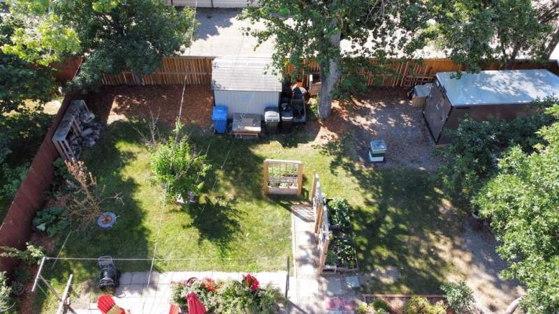 Backyard shot